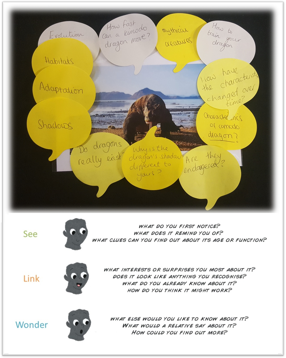 see-link-wonder-post