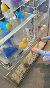 Collection of everyday examples on clear display shelves that can be played with.