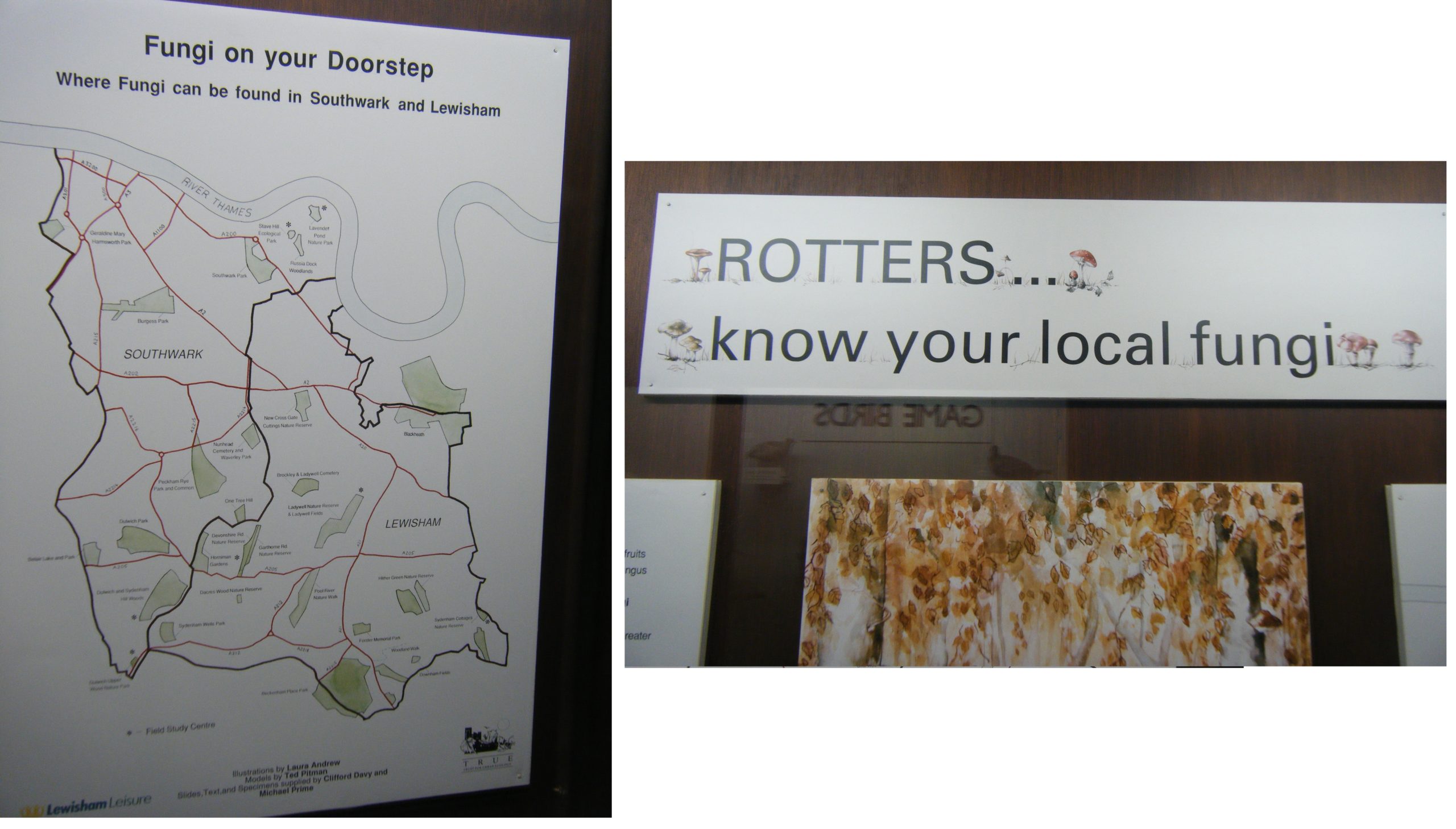 Fungi on your Doorstep map of where to find fungi in Southwark and Lewisham.